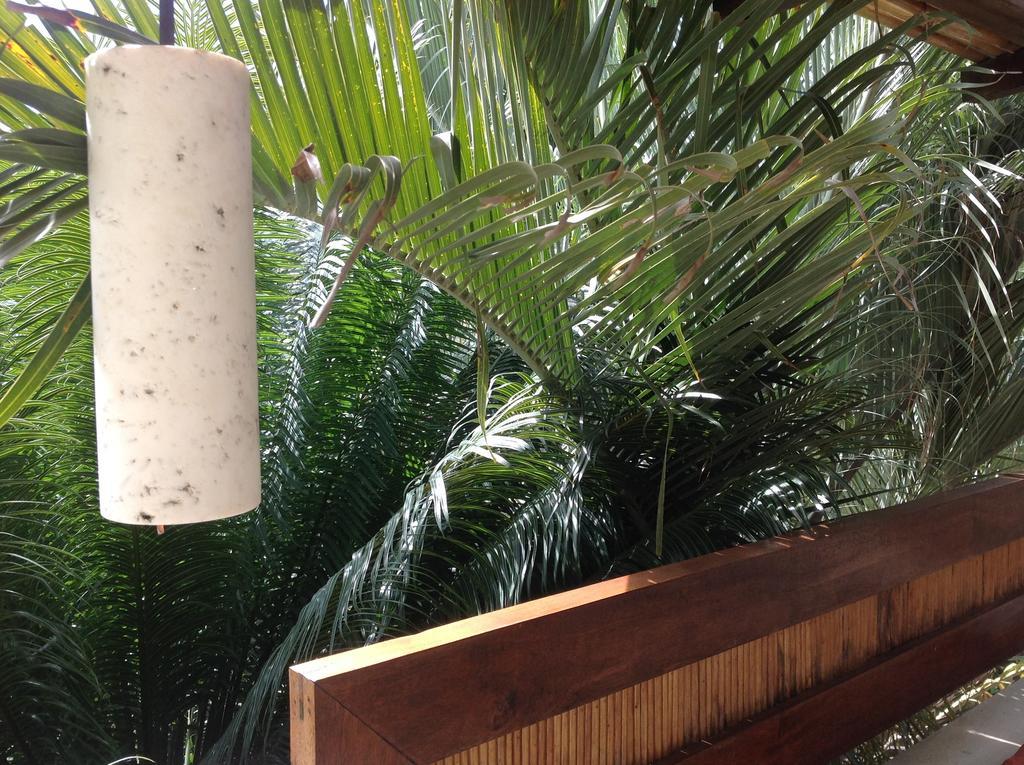 Casa Flor De Mar Hotell Zipolite Eksteriør bilde