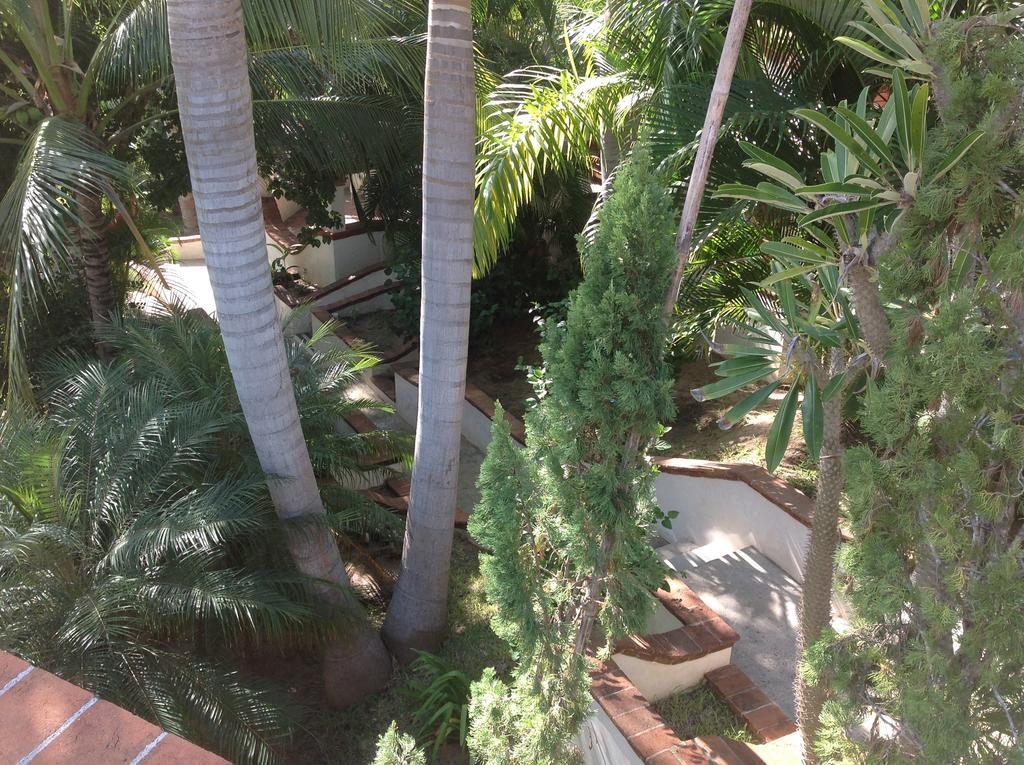 Casa Flor De Mar Hotell Zipolite Eksteriør bilde